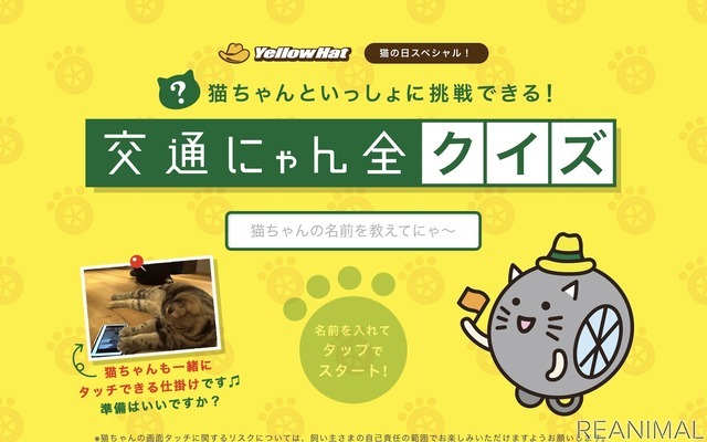 猫参加型「交通にゃん全クイズ」公開＆猫参加型「交通にゃん全番組」地上波放映決定