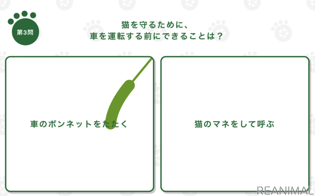 猫参加型「交通にゃん全クイズ」公開&猫参加型「交通にゃん全番組」地上波放映決定