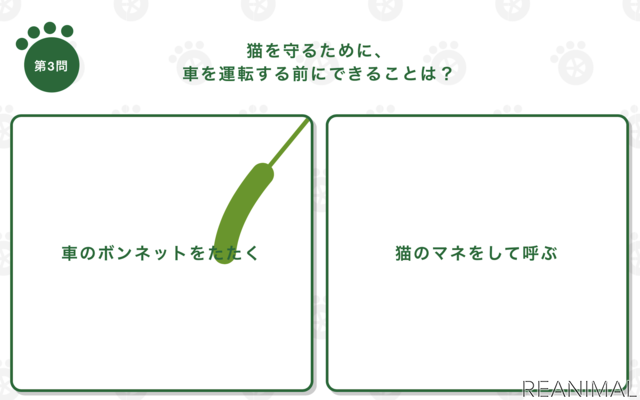 猫参加型「交通にゃん全クイズ」公開＆猫参加型「交通にゃん全番組」地上波放映決定