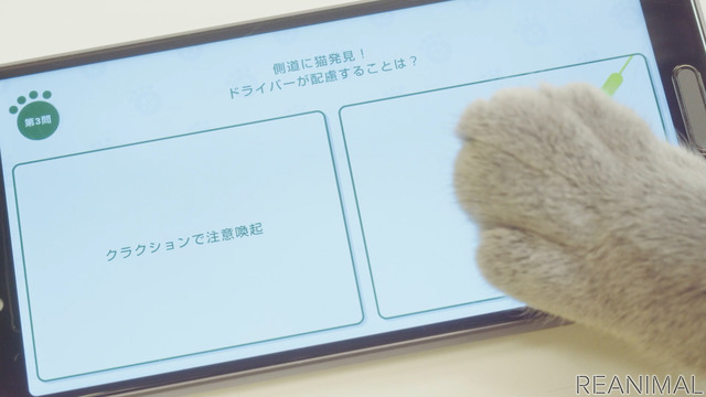 猫参加型「交通にゃん全クイズ」公開&猫参加型「交通にゃん全番組」地上波放映決定