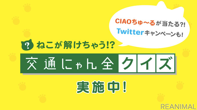 猫参加型「交通にゃん全クイズ」公開＆猫参加型「交通にゃん全番組」地上波放映決定