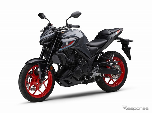 ヤマハ MT-25 ABS(グレー)