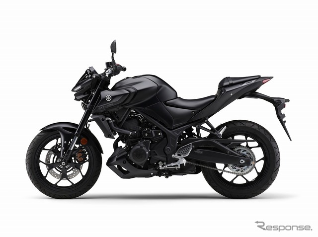 ヤマハ MT-25 ABS(マットダークグレー)