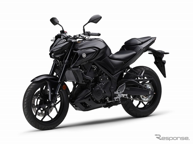 ヤマハ MT-25 ABS(マットダークグレー)