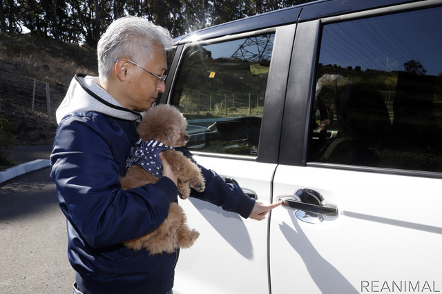 愛犬を抱っこしたままでもワンタッチでドアを開閉できるのは嬉しい