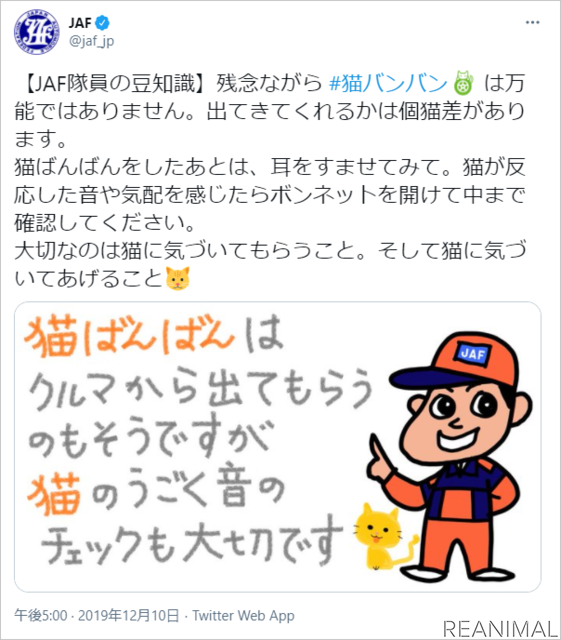 JAF、“猫がクルマに入り込んだことによるトラブル”の救援要請件数を発表