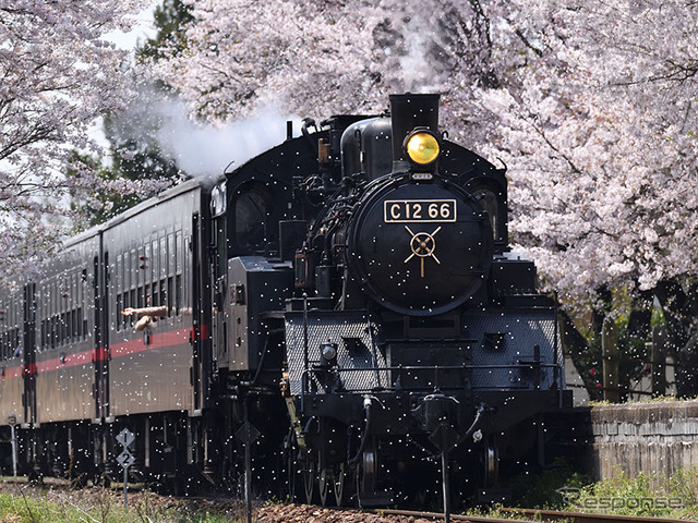 C11 325の東武への譲渡後は、C12 66の単独牽引となっている『SLもおか』。