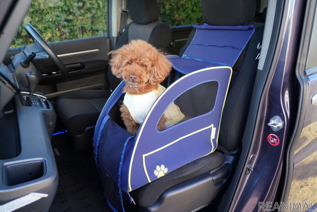 ホンダアクセス、「インターペット2021 ~人とペットの豊かな暮らしフェア~」に「Honda Dog」として出展
