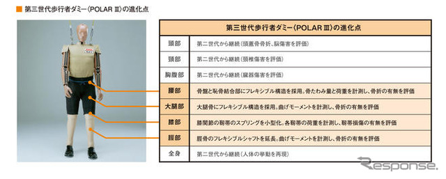 ホンダ、第3世代の歩行者ダミーを開発…SUVやミニバンとの衝突事故
