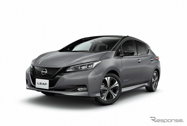 日産リーフG(ステルスグレー/スーパーブラック 2トーン)