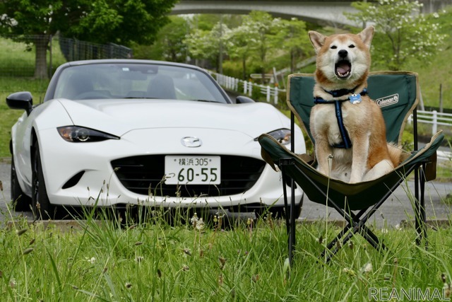 マツダ ロードスター × ハル