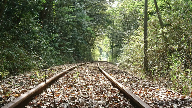 くま川鉄道のレール。