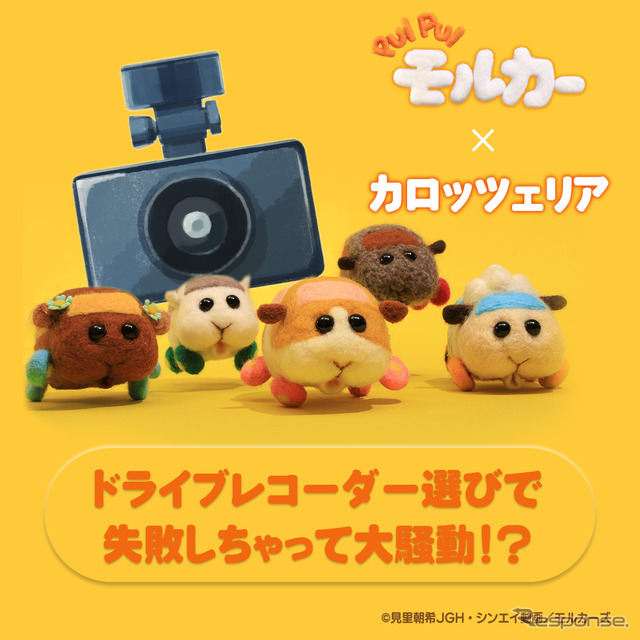 ドライブレコーダー選びで失敗しちゃって大騒動！？