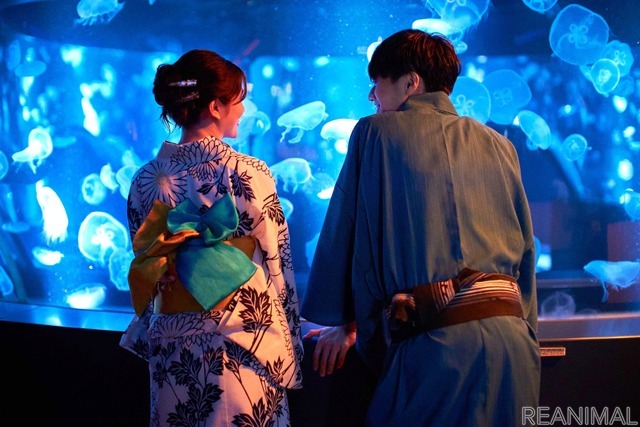 京都水族館、“クラゲ風鈴”が織りなす涼やかな音色「くらげと風鈴」を開催