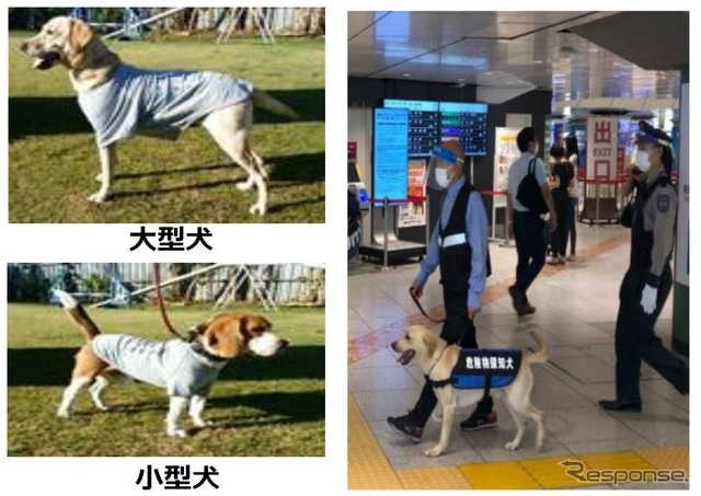 危険物探知犬とその警戒イメージ。