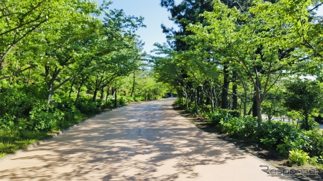(イメージ)