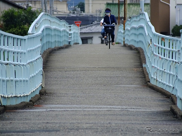 南海 北島支線 紀ノ川橋梁 河西橋(かせいばし)