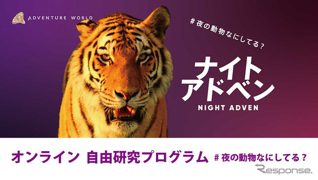 ナイトアドベン / #夜の動物なにしてる?(8月23日まで)