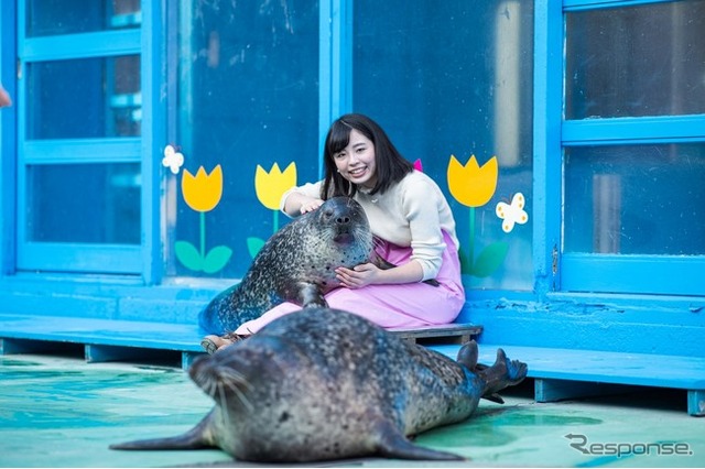 伊勢シーパラダイス「ゴマちゃんをひざ枕体験」(8月31日まで)