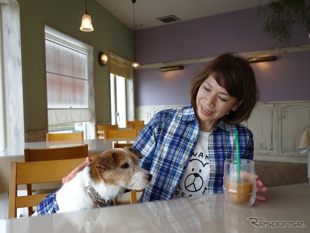 夏の愛犬同伴ドライブ、注意点&必須アイテム