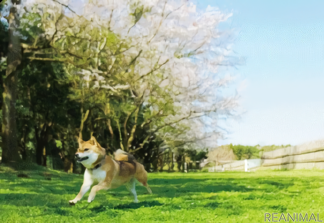 愛犬と一緒に茨城を楽しむ日帰りバスツアー「こもれび森のイバライドと梨狩り」開催