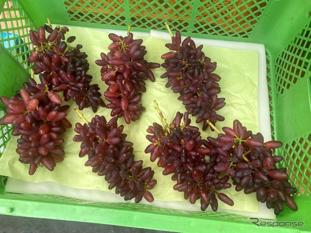 ちちぶ山ルビー