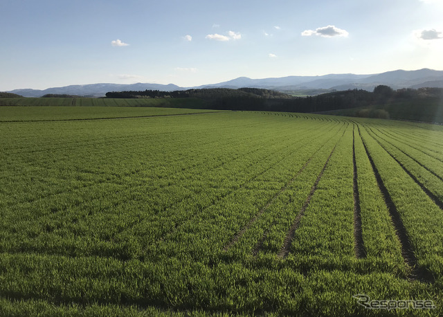 広がる牧草地のわきをドライブするだけで効果あり