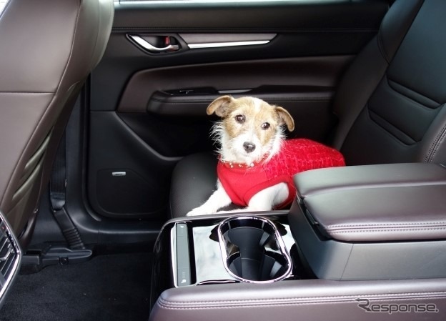 犬の大きさ＆乗車人数別、クルマの乗せ方