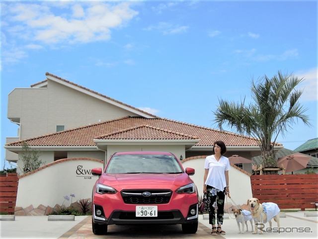 犬の大きさ&乗車人数別、クルマの乗せ方