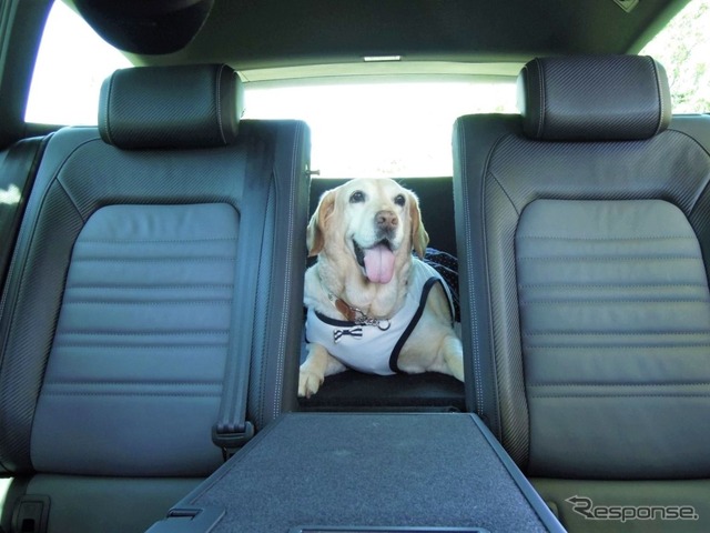 犬の大きさ&乗車人数別、クルマの乗せ方
