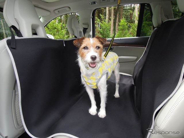 犬の大きさ&乗車人数別、クルマの乗せ方
