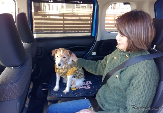 犬の大きさ＆乗車人数別、クルマの乗せ方