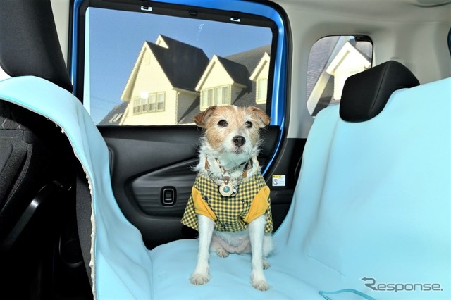 犬の大きさ&乗車人数別、クルマの乗せ方
