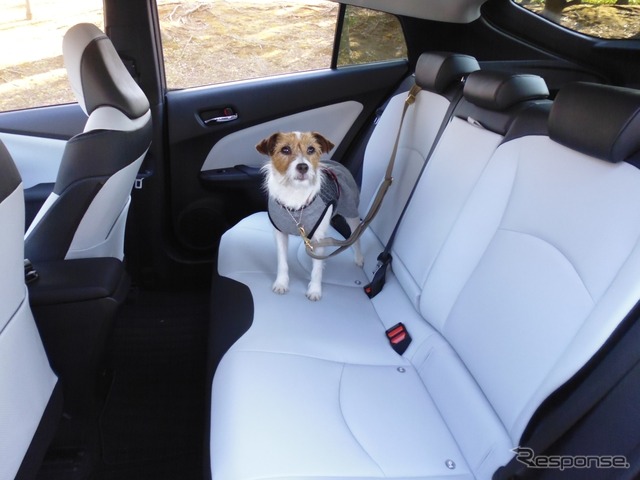 犬の大きさ&乗車人数別、クルマの乗せ方