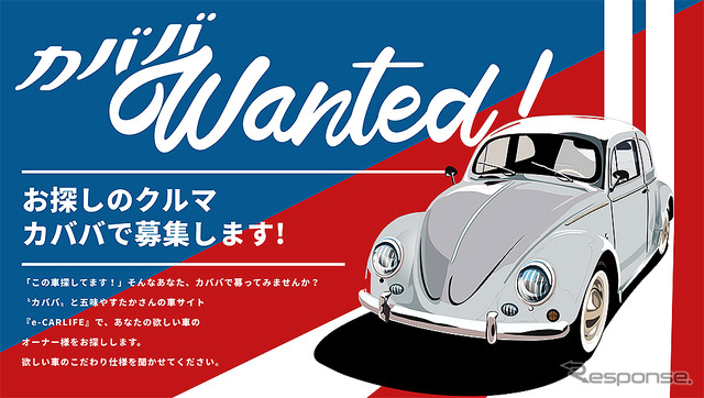 カババWanted！