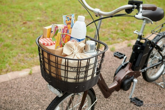 たくさんの荷物を積める大型樹脂バスケット