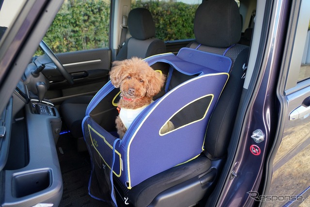 N-BOX 愛犬とのおでかけ、アウトドアVer.（純正アクセサリー装着車）