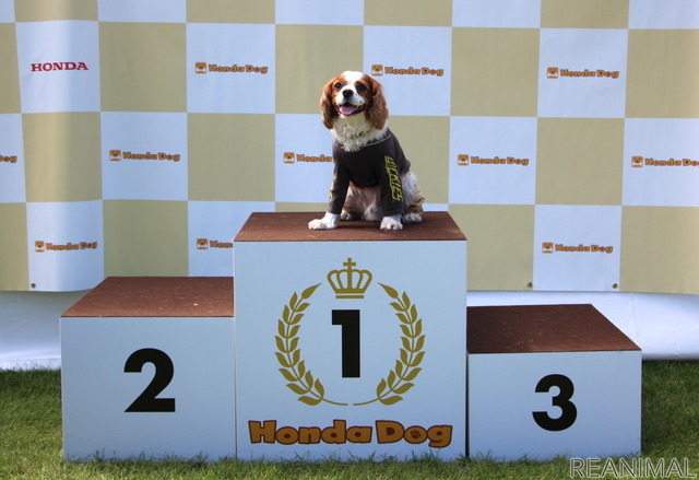 Honda Dog(ホンダアクセス)ブース/アウトドアドッグフェスタ in 八ヶ岳 2021