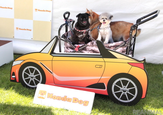 Honda Dog(ホンダアクセス)ブース/アウトドアドッグフェスタ in 八ヶ岳 2021