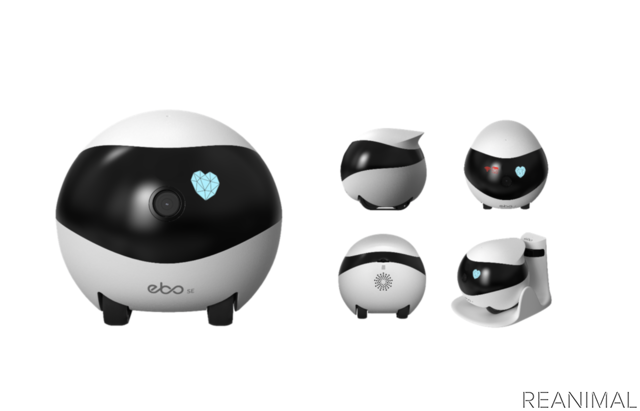 自走式見守りロボット「EBO SE」発売