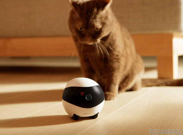 自走式見守りロボット「EBO SE」発売
