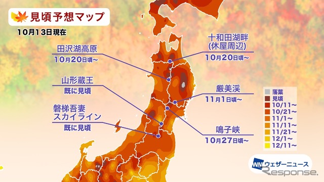 エリア別の紅葉見頃予想