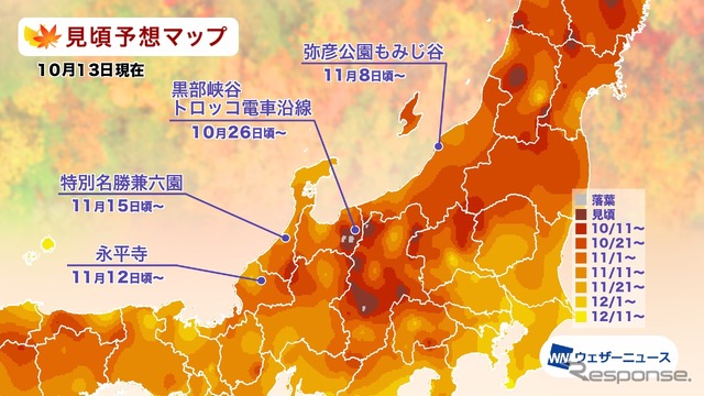 エリア別の紅葉見頃予想