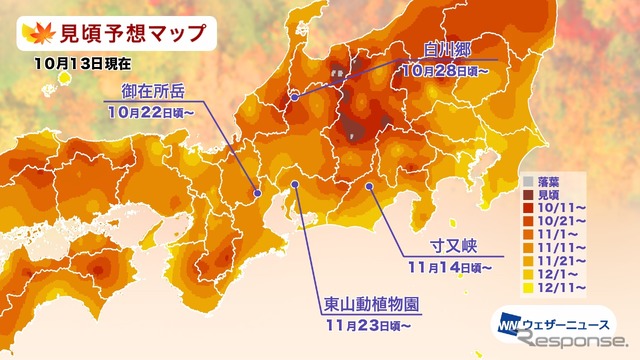 エリア別の紅葉見頃予想