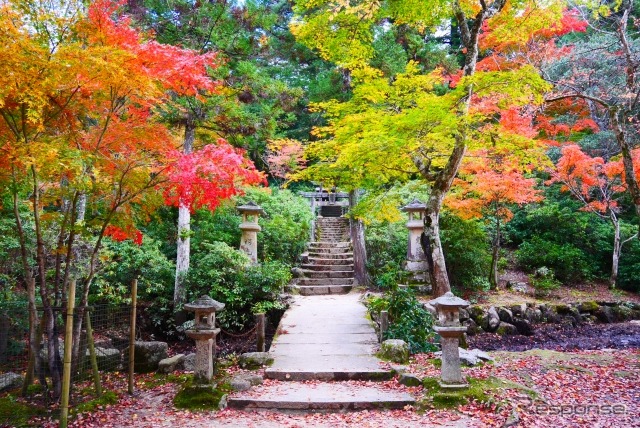 安芸宮島(イメージ)