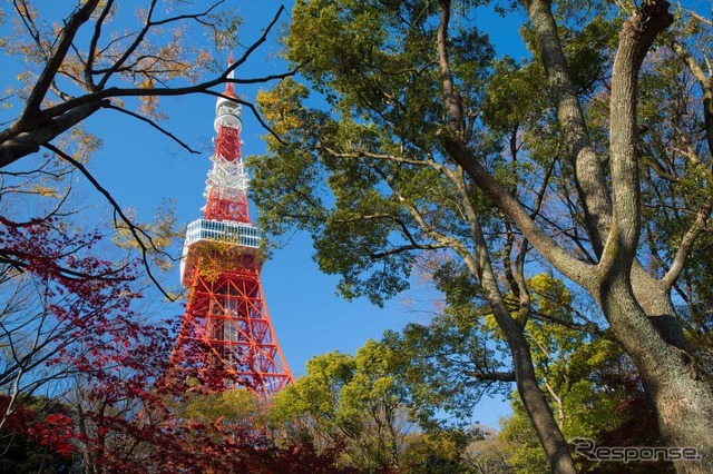 東京タワー