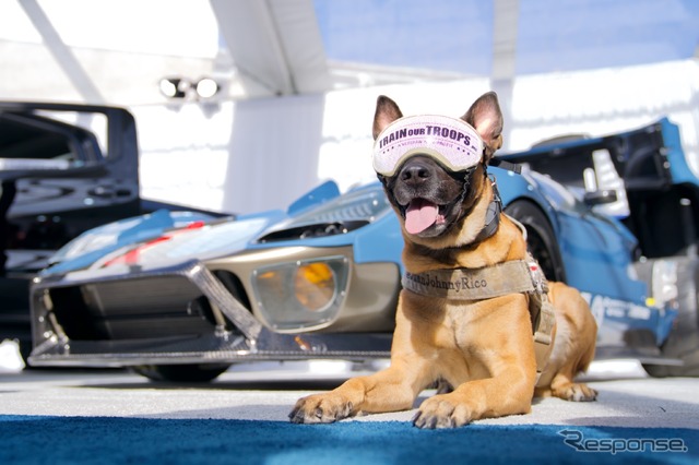 SEMA.SHOW 2021