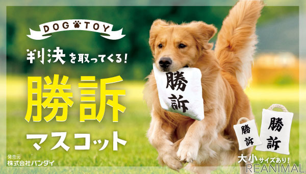 「判決を取ってくる犬用おもちゃ『勝訴マスコット』」