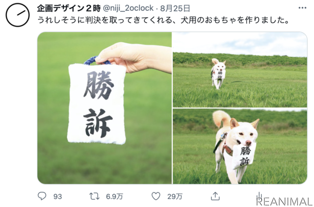 「判決を取ってくる犬用おもちゃ『勝訴マスコット』」