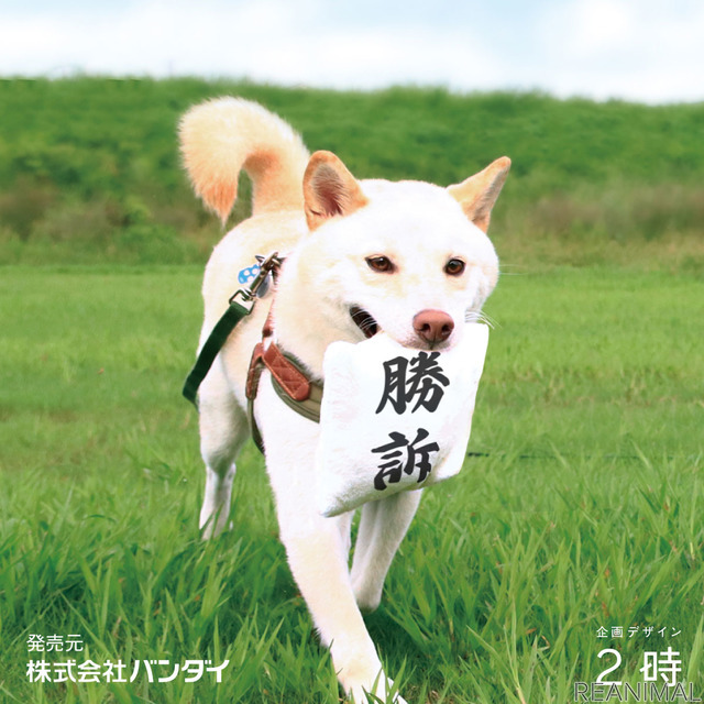 「判決を取ってくる犬用おもちゃ『勝訴マスコット』」